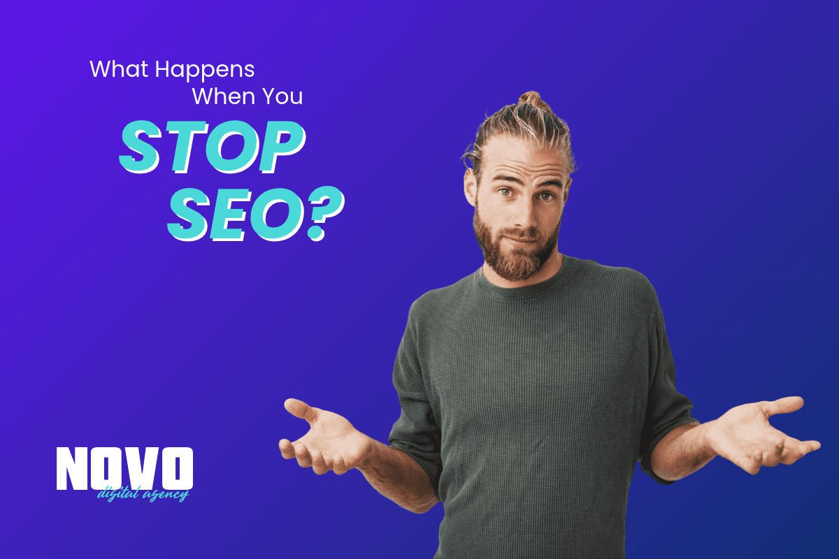 What happens when you stop SEO?